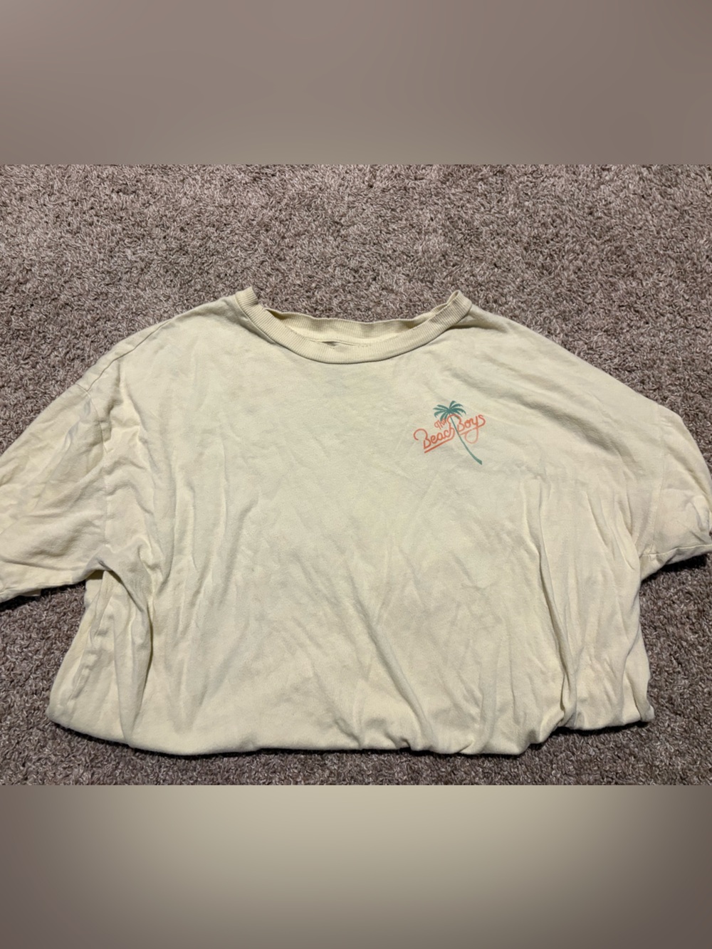 Beach Boys American Eagle graphic tee